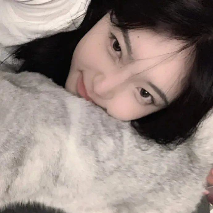 从未说过的话